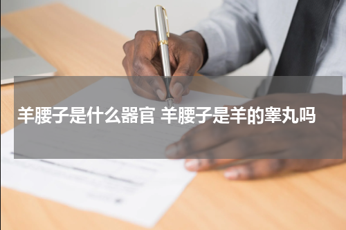 羊腰子是什么器官 羊腰子是羊的睾丸吗