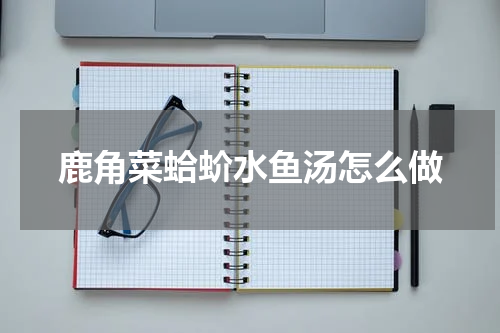 鹿角菜蛤蚧水鱼汤怎么做