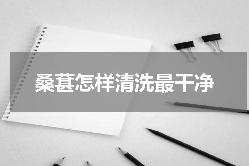 桑葚怎样清洗最干净