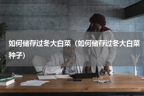 如何储存过冬大白菜（如何储存过冬大白菜种子）