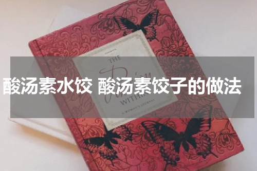 酸汤素水饺 酸汤素饺子的做法