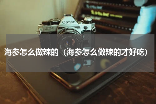 海参怎么做辣的（海参怎么做辣的才好吃）