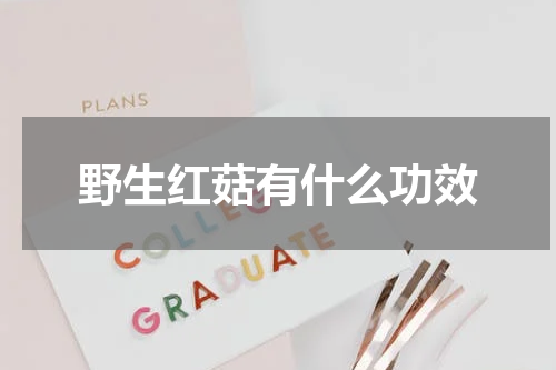野生红菇有什么功效