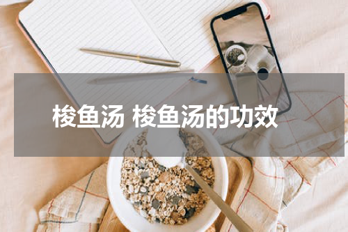 梭鱼汤 梭鱼汤的功效