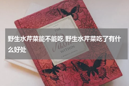 野生水芹菜能不能吃 野生水芹菜吃了有什么好处