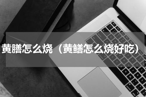 黄膳怎么烧（黄鳝怎么烧好吃）