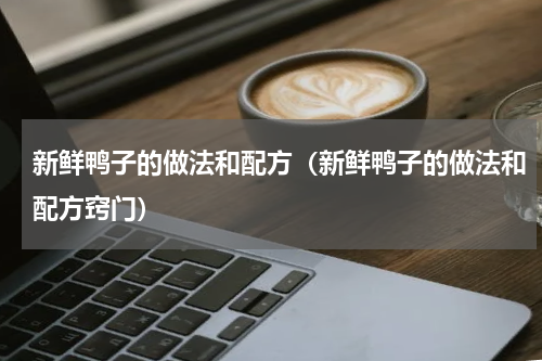 新鲜鸭子的做法和配方（新鲜鸭子的做法和配方窍门）