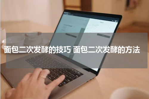 面包二次发酵的技巧 面包二次发酵的方法