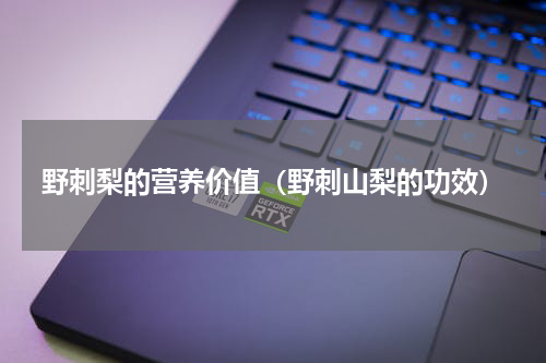 野刺梨的营养价值（野刺山梨的功效）