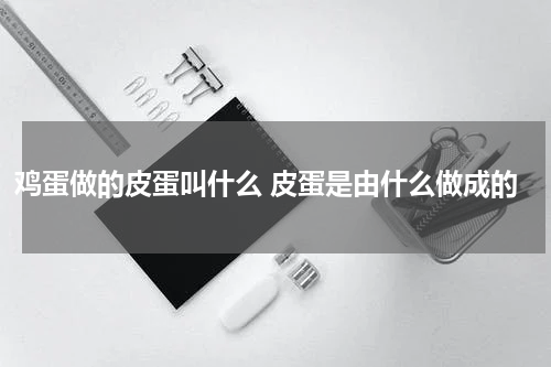 鸡蛋做的皮蛋叫什么 皮蛋是由什么做成的