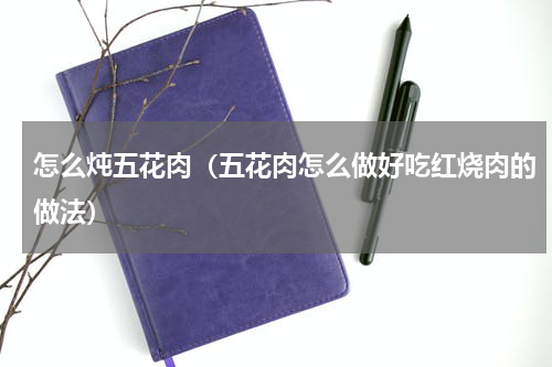 怎么炖五花肉（五花肉怎么做好吃红烧肉的做法）