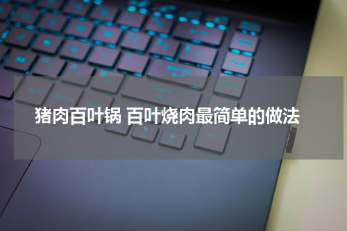 猪肉百叶锅 百叶烧肉最简单的做法