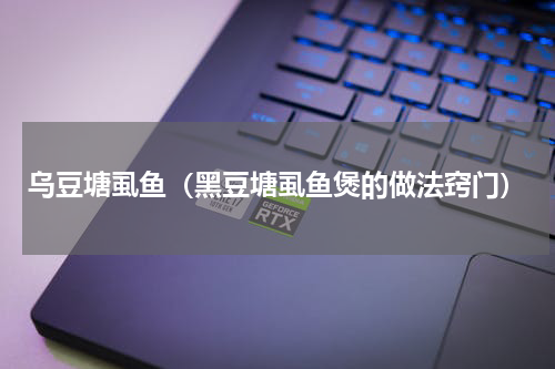 乌豆塘虱鱼（黑豆塘虱鱼煲的做法窍门）
