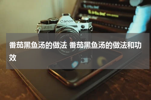 番茄黑鱼汤的做法 番茄黑鱼汤的做法和功效