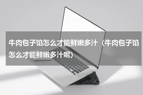 牛肉包子馅怎么才能鲜嫩多汁（牛肉包子馅怎么才能鲜嫩多汁呢）