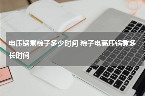 电压锅煮粽子多少时间 粽子电高压锅煮多长时间