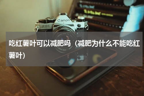 吃红薯叶可以减肥吗（减肥为什么不能吃红薯叶）