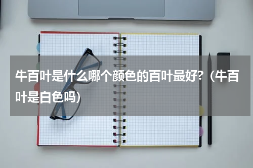 牛百叶是什么哪个颜色的百叶最好?（牛百叶是白色吗）