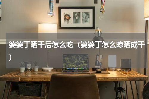 婆婆丁晒干后怎么吃（婆婆丁怎么晾晒成干）