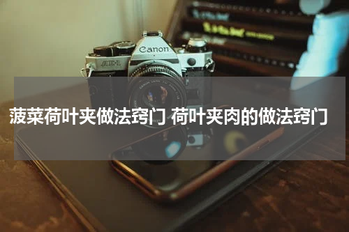 菠菜荷叶夹做法窍门 荷叶夹肉的做法窍门